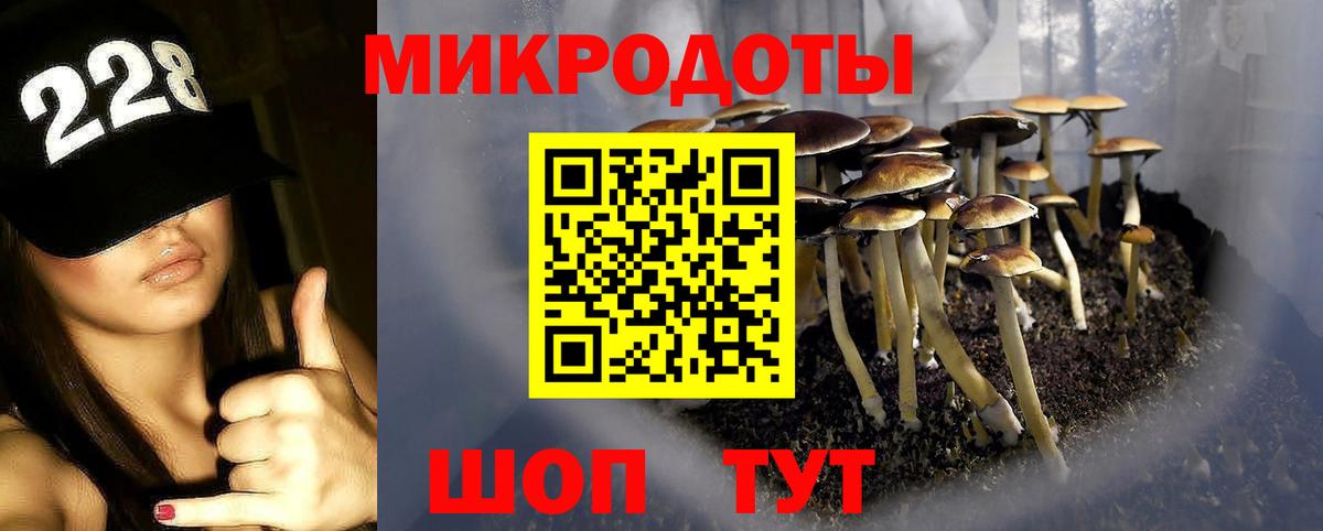 Галлюциногенные грибы Psilocybe Мариинск