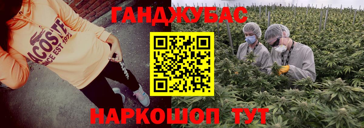 Конопля сатива Мариинск